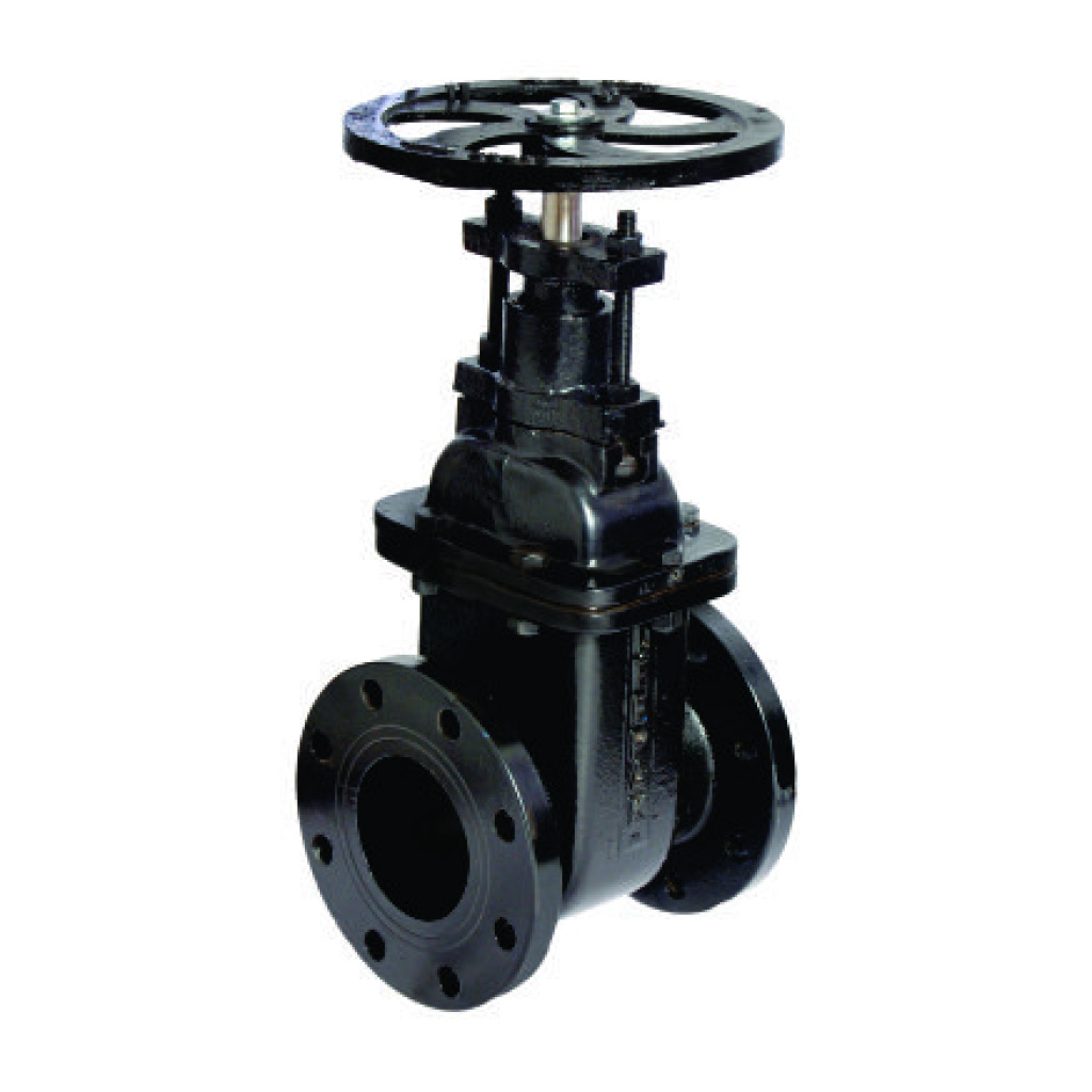 CAST IRON SLUICE VALVE – Babji Valves and Fittings